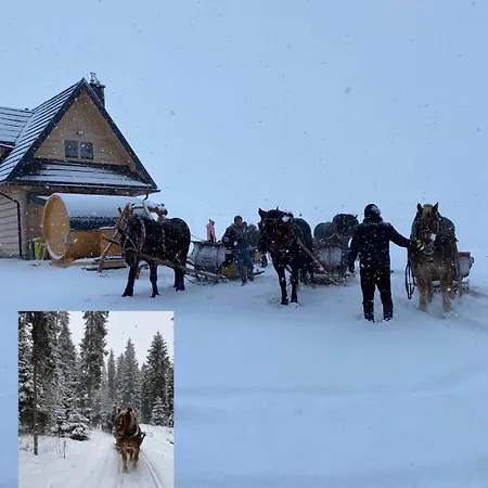 בית נופש Pod Lasem